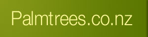 Palm Trees & NZ Natives at clearance prices